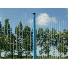 China Anping Factory Wire Mesh Fence